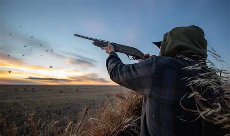 20 Gauge vs 12 Gauge: Best for Waterfowl Hunting