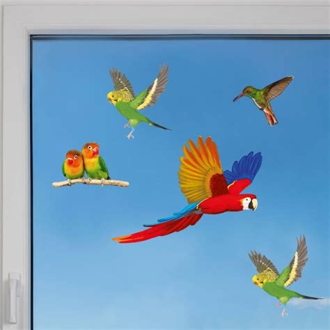 Window Decals for Birds - They prevent birds from hitting windows.