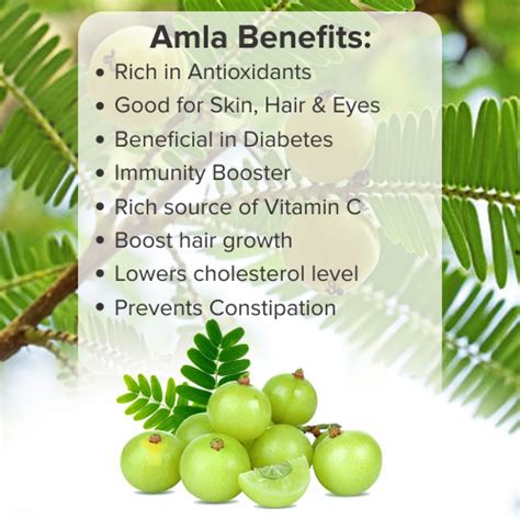 Amla Benefits And Uses