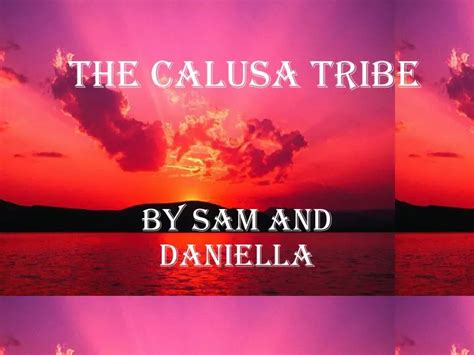 Ppt The Calusa Tribe Powerpoint Presentation Free Download Id283187