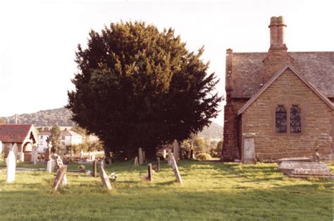 Halford Ancient Yew Group