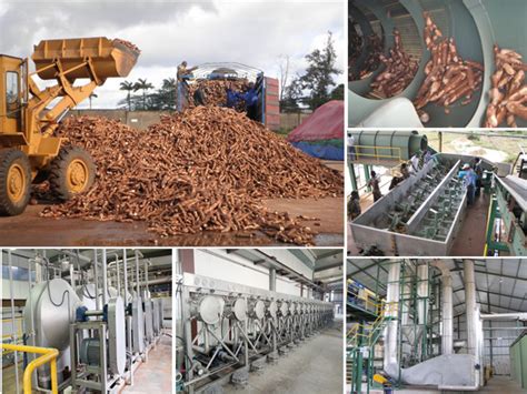 Cassava Starch Production Line Starch Production Line