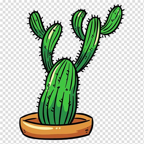 Cactus Painting Animation Green Plant Flowerpot Tree Plant Stem