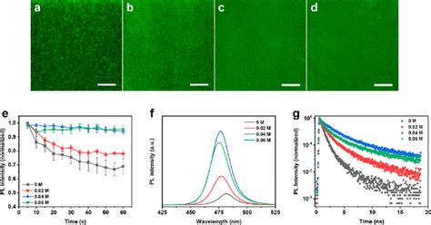 Confocal Laser Scanning Fluorescence Microscopy Images Of The