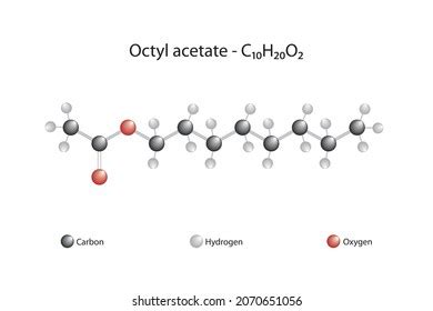 Octyl Acetate Lewis Structure