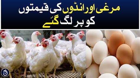 Chicken Meat And Egg Price Skyrockets In Lahore Aaj News Videos Aaj