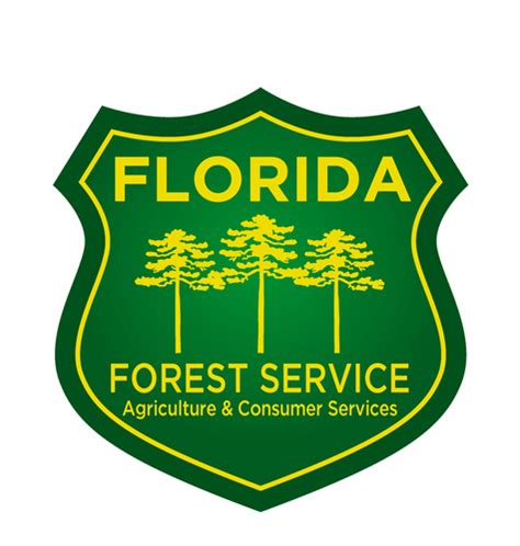 Florida Forest Service On Twitter Wildfire Update There Are