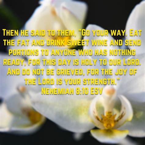 Nehemiah Then He Said To Them Go Your Way Eat The Fat And Drink