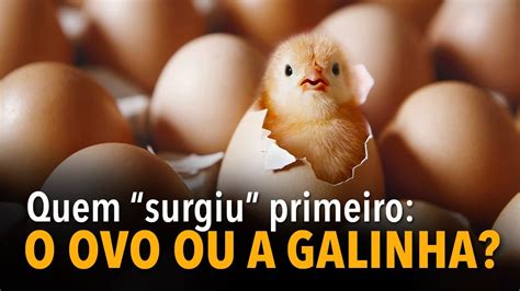 Quem Surgiu Primeiro O Ovo Ou A Galinha YouTube