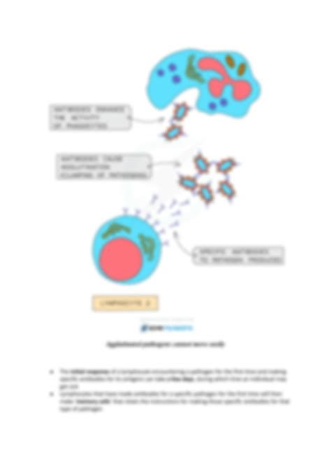 Solution Ch Pathogenes Immunity Igcse Notes Studypool