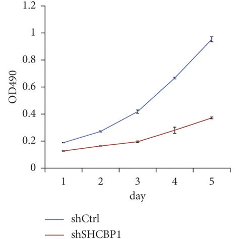 Shcbp Knockdown Inhibited Cellular Proliferation And Colony Formation