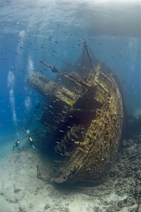 Shipwreck in the Red Sea : pics