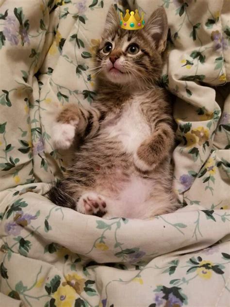 Best Jewel Images On Pholder Hiphopcirclejerk Pretty Older Women And Artefact Porn