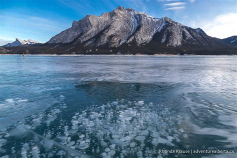 Abraham Lake Bubbles- How to See the Frozen Bubbles in Abraham Lake