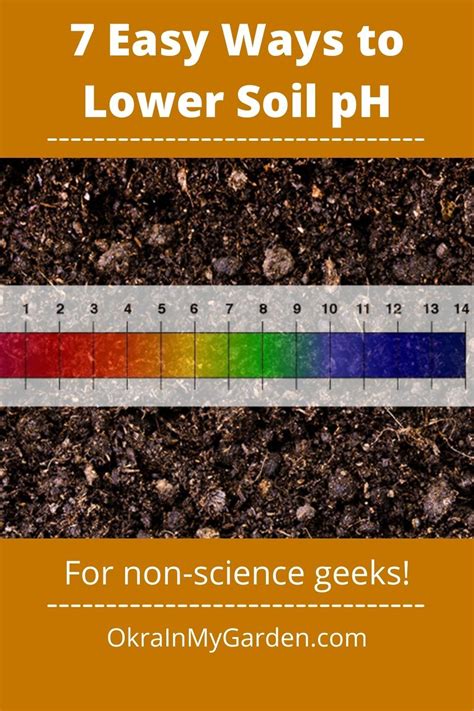 7 Easy Ways To Lower Soil PH Make It More Acidic Garden Soil