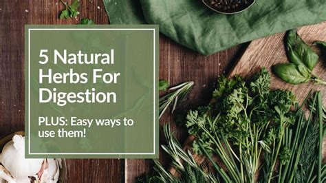 5 Natural Herbs For Digestion - CBH Energetics