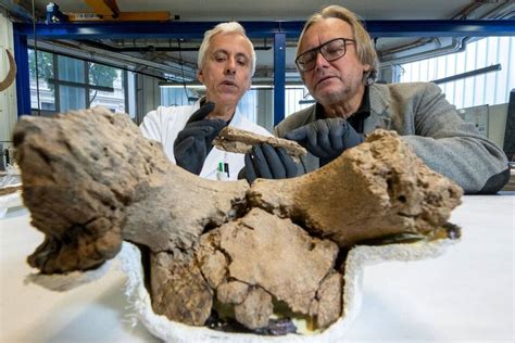 Archäologie Schamanin Neue Erkenntnisse zu 9000 Jahre altem Grab