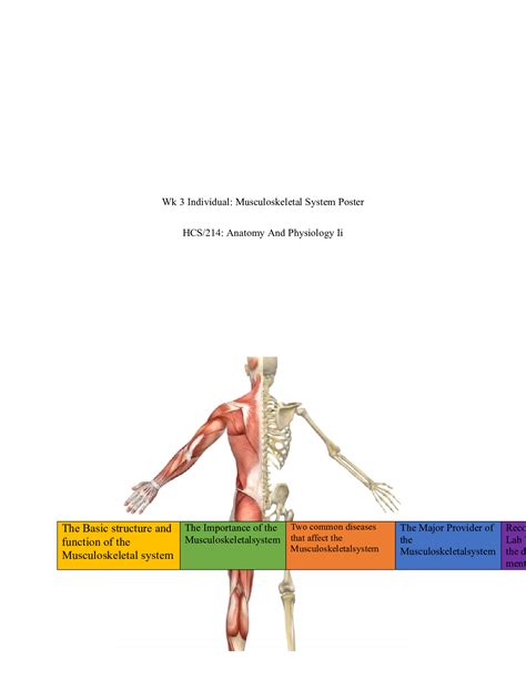 Endocrinesystemposterdocx Wk 3 Individual Musculoskeletal System