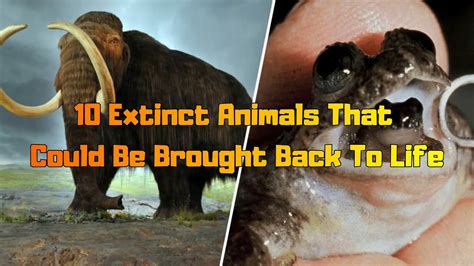 Extinct Animals That Could Come Back