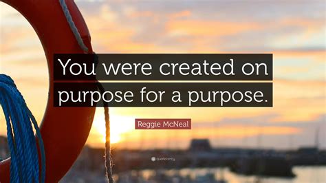 Reggie Mcneal Quote You Were Created On Purpose For A Purpose”