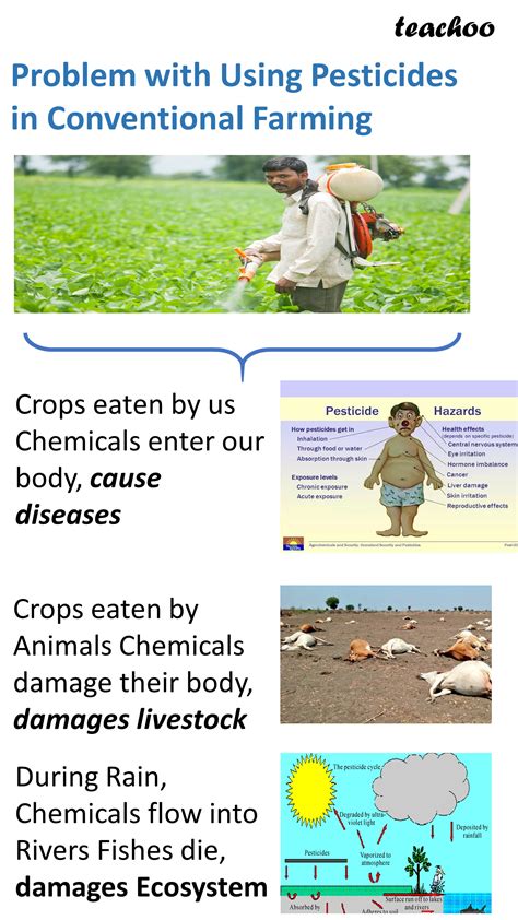 Class 12 What Is Organic Farming Economic Teachoo Chapter 6 Ied