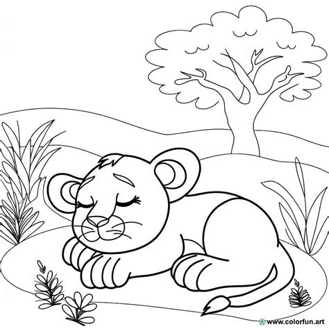 Coloriage D Un Lionceau Endormi T L Charger Ou Imprimer Gratuitement