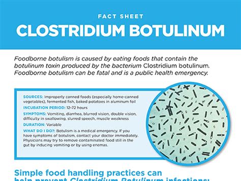 Clostridium Botulinum Fact Sheet Sani Professional