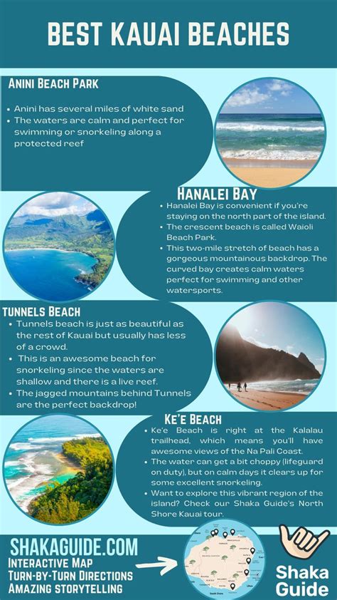 The Best Kauai Whale Watching Tours Artofit