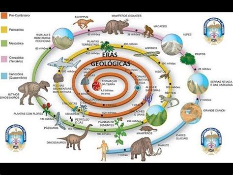 Eras Geologicas Evolucion De La Vida Linea Del Tiempo Origen De