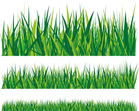 PNG Grass Cartoon - Grass Background Natural – Free Download