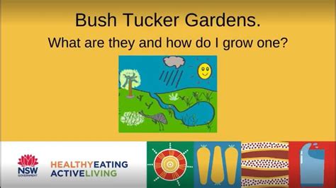 Bush Tucker Gardens What Are They And How Do I Grow One Youtube