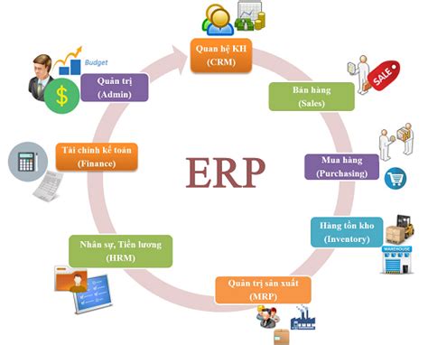 ERP Developer là gì Tìm Hiểu Về Vai Trò Kỹ Năng Và Cơ Hội Nghề Nghiệp