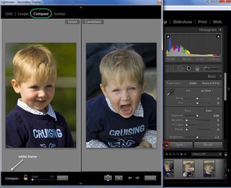 Lightroom Secret Revealed How To See Two Images Side By Side As You