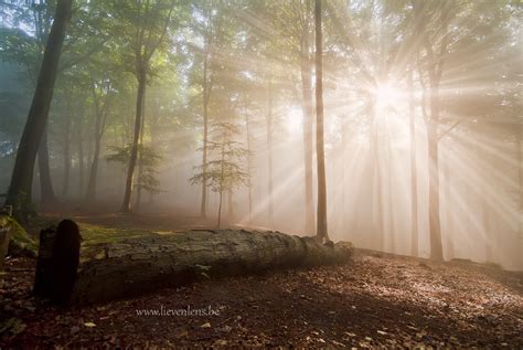 Top Photo Spots at Oost Vlaanderen in 2024