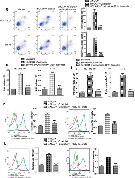 Kif20anuak1 Induce The Resistance Of Crc Resistant Cell Lines To