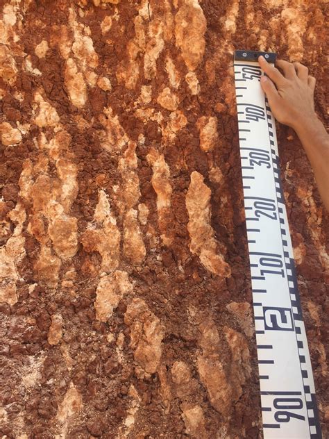 How And When Do Calcium Carbonates Accumulate In Soils Breecker Lab