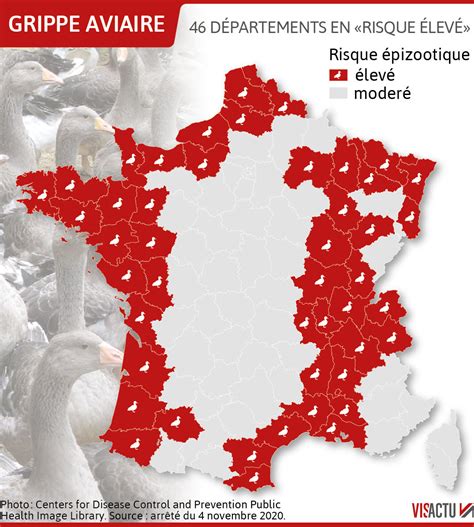 Santé Grippe aviaire 46 départements dont le Rhône la Loire l Ain