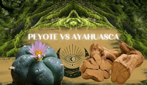 Peyote Vs Ayahuasca Best Mushroom Store