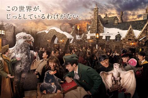 Usj Harry Potter Fantastic Beasts Marumura