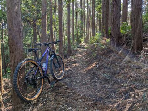 久しぶりのmtbトレイル セオサイクル浜松店 自転車屋 浜松市 中区 静岡文化芸術大学すぐ横 自転車専門店 セオ