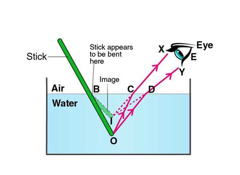 Explaining The Labeled Diagram Of Refraction