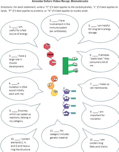 Amoeba Sisters Video Biomolecules