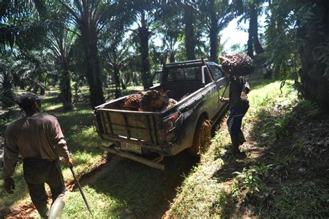 Ppn Besaran Tertentu Hasil Tani Berpotensi Naik Jadi Tahun Depan