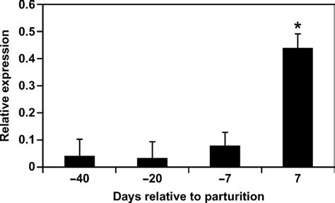 Developmental Regulation Of Sodium Glucose Cotransporter Sglt Mrna