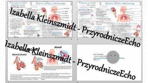 Minizestaw na temat Budowa i rola układu oddechowego sketchnotka