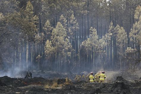 Cómo se prepara la UE para la temporada de incendios forestales