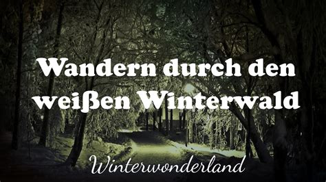 Wandern durch den weißen Winterwald live gespielt und gesungen YouTube