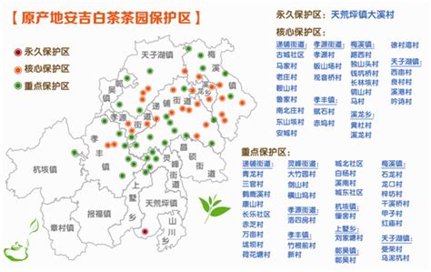 我县发布关于原产地安吉白茶茶园保护区域的通知 安吉新闻网