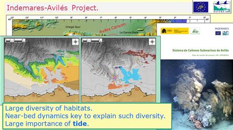 Internal tide dynamics and enhanced mixing in the Avilés Canyon System