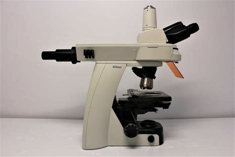 Used Nikon Ci L Microscope For Sale Dotmed Listing 4228388